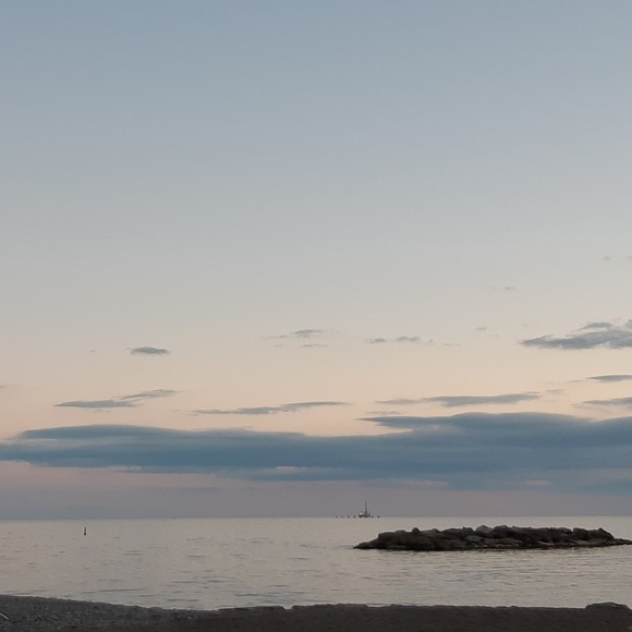 Meet your Posher, Shashi. - Picture 1 of 1